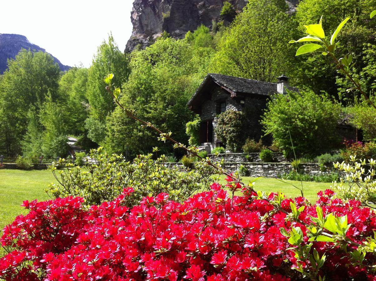 Chalet La Baita Villa Baceno Kültér fotó